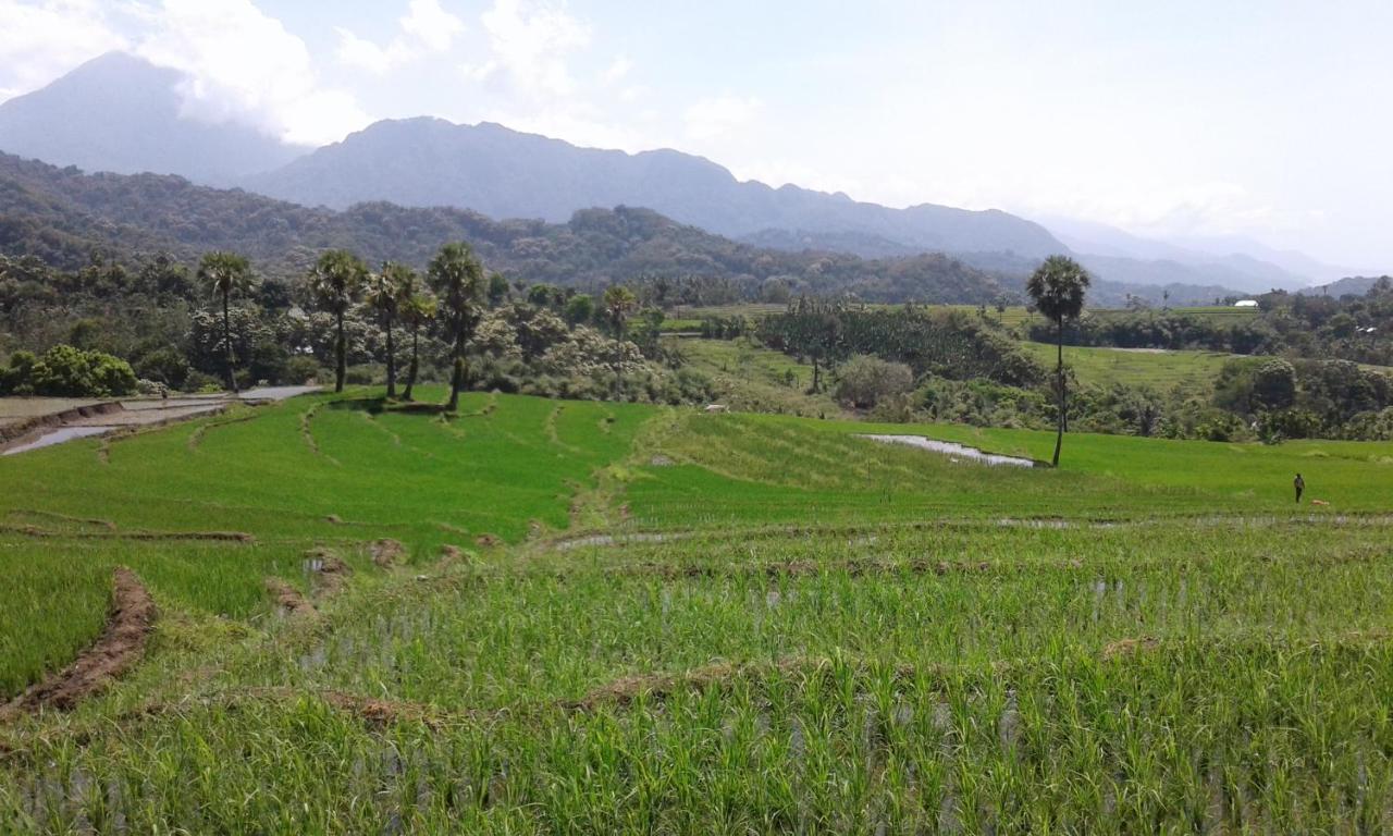 Kristian Homestay Bajawa Zewnętrze zdjęcie